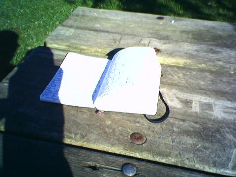 my scribbles