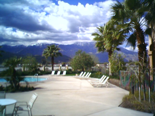 Crappy phone picture of hotel's backyard