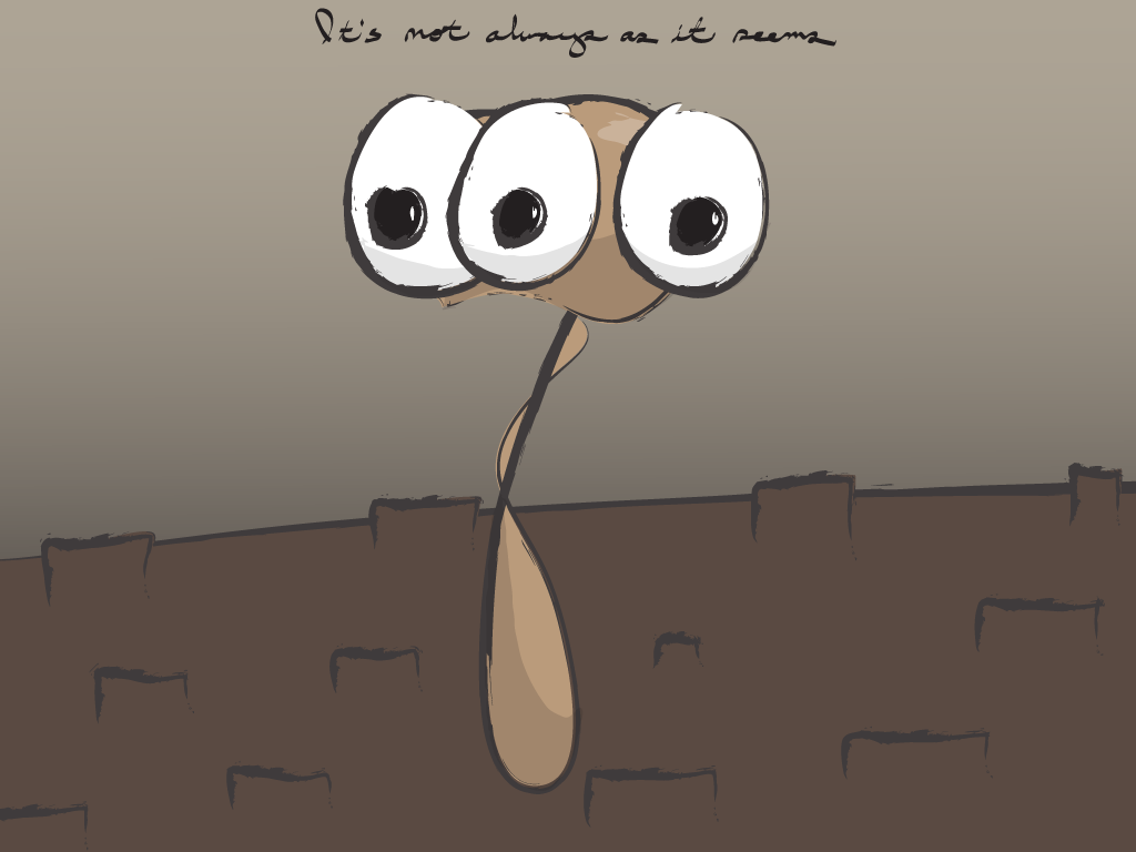 It's not always as it seems